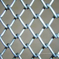 Galvanized Wire Mesh Fence/Chain Link Fence